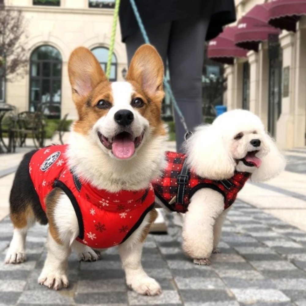 The Versa Vault | Coat Jacket for Pet